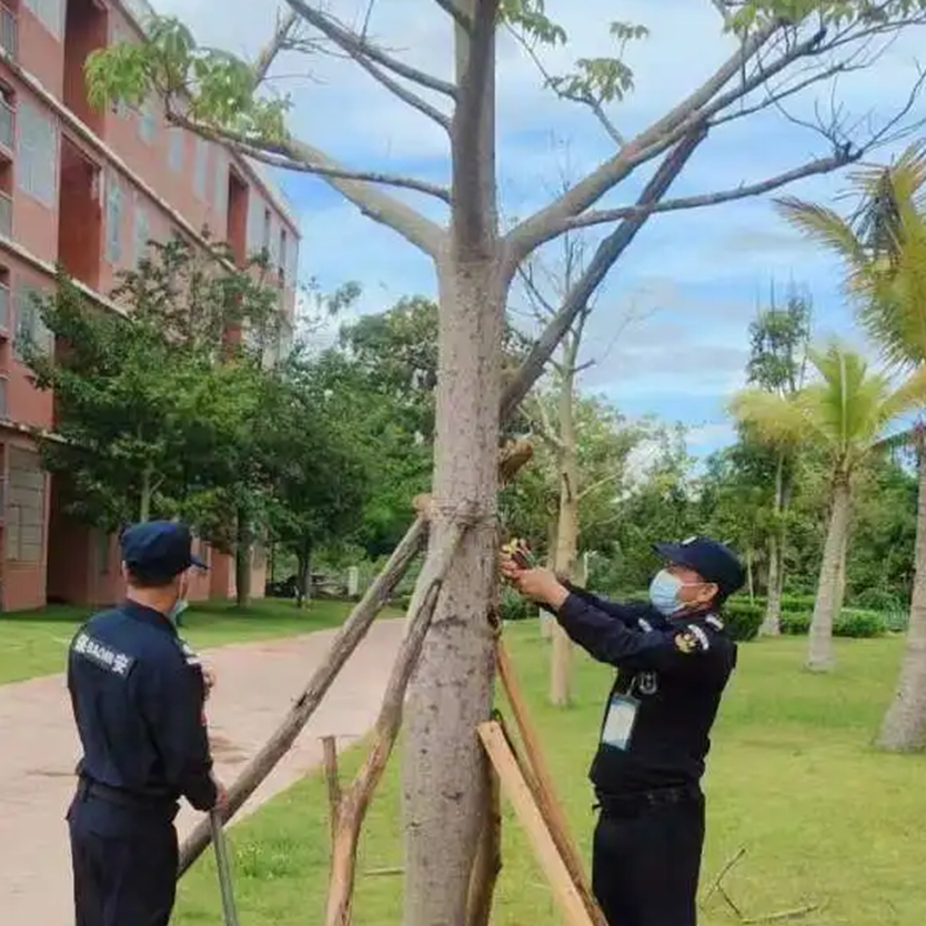 聞“風(fēng)”而動(dòng)，全力以“復(fù)” | 災(zāi)后重建，百雀人在行動(dòng)